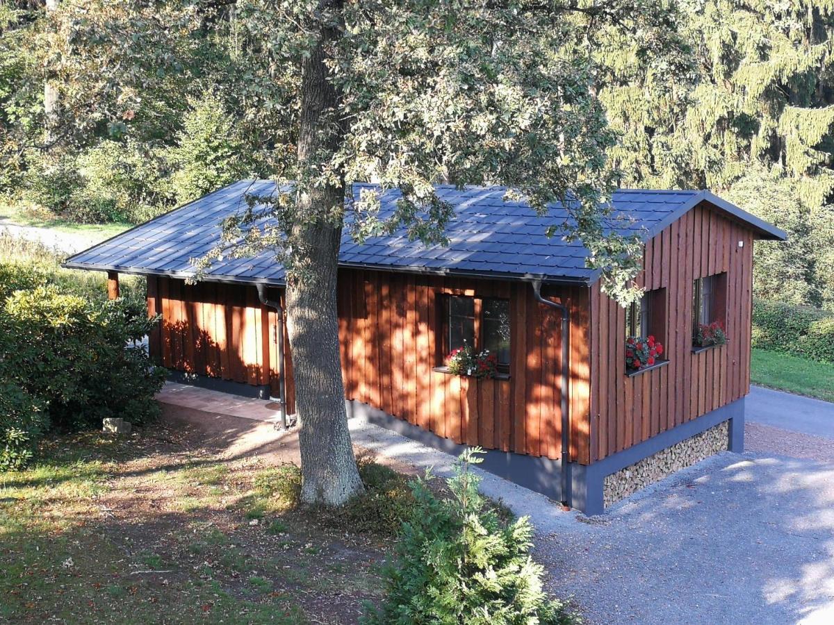 Haus Waldfrieden Apartman Altenberg  Kültér fotó