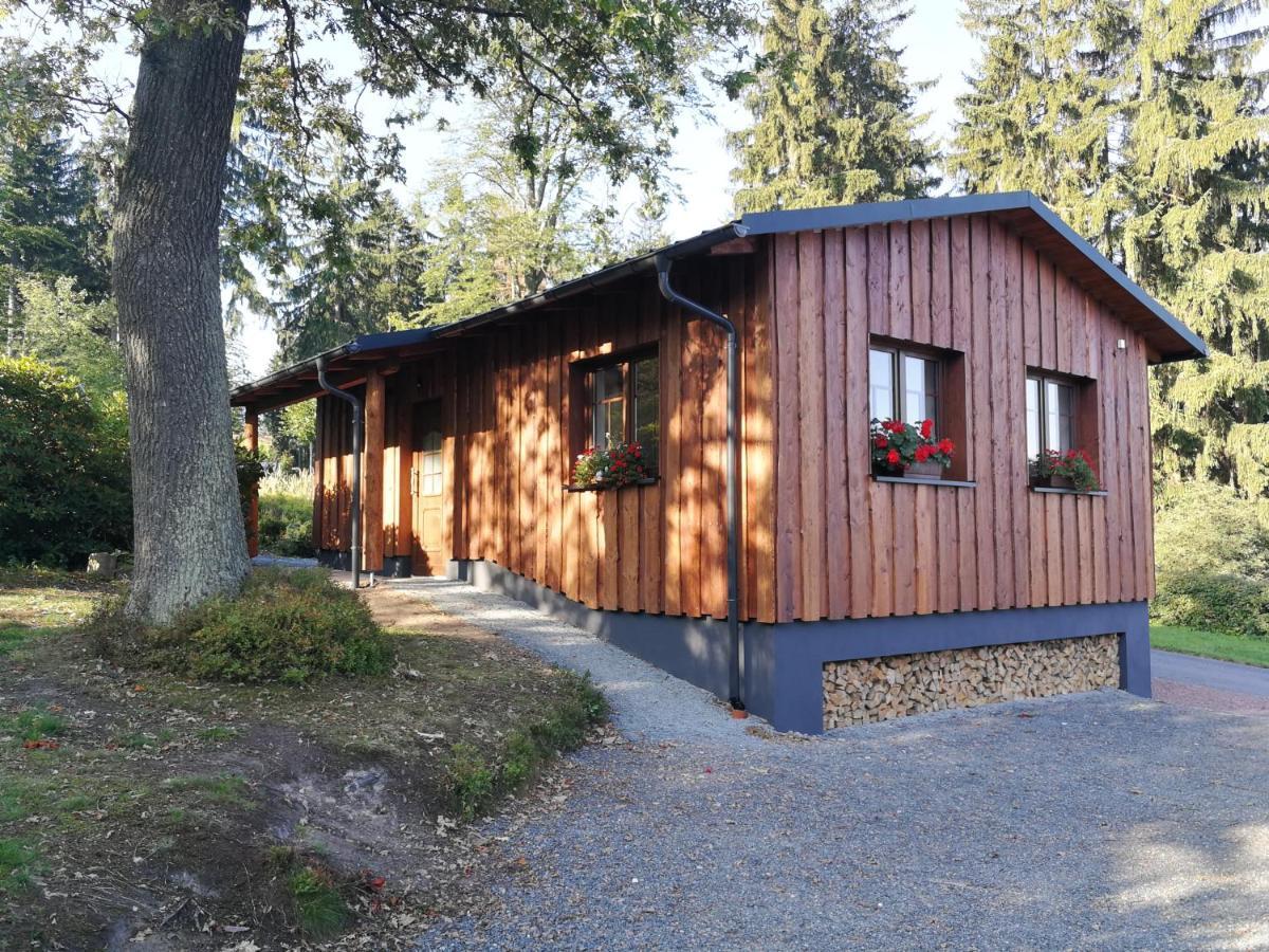 Haus Waldfrieden Apartman Altenberg  Kültér fotó
